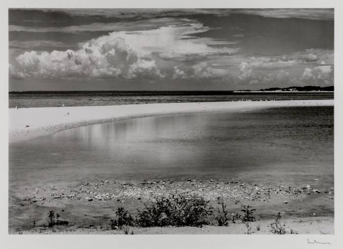 landscape with beach